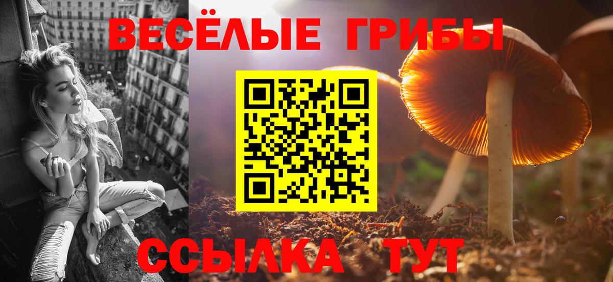 Галлюциногенные грибы Psilocybine cubensis  Вход с VPN  Гусь-Хрустальный 