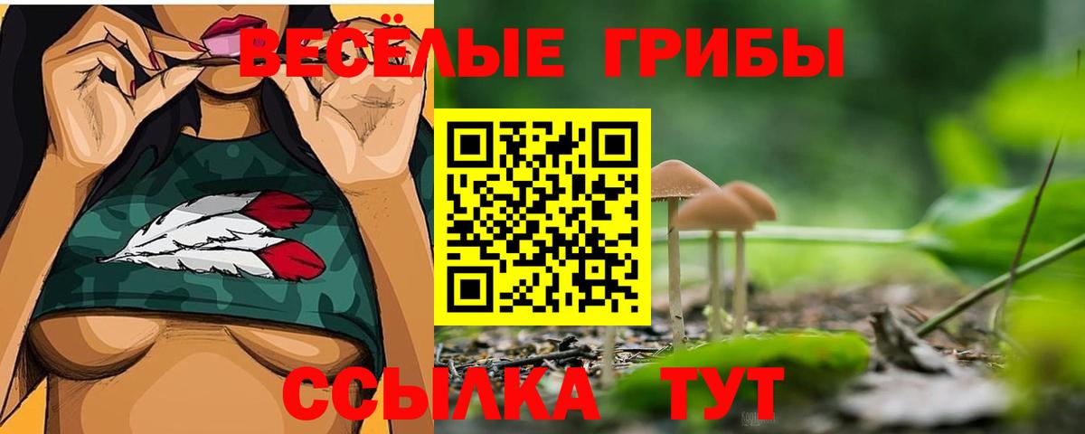Галлюциногенные грибы мицелий Гусь-Хрустальный